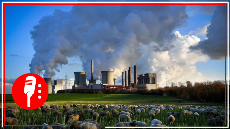 México, país que más redujo sus emisiones fósiles de CO2 en el periodo del 2019 al 2021