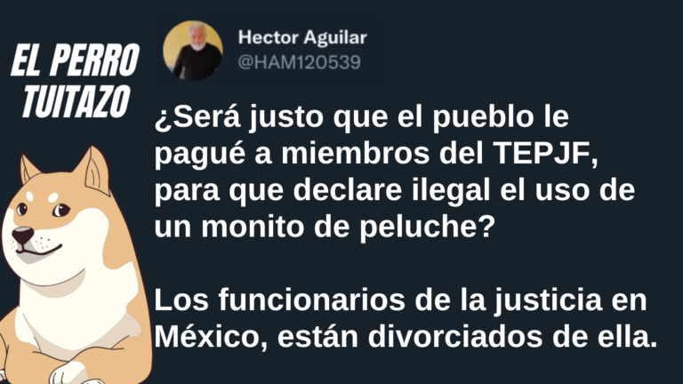 El Perro Tuitazo: funcionarios de justicia, divorciados de ésta