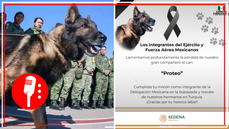Despiden a Proteo, perrito rescatista que murió en labores de salvamento en Turquía