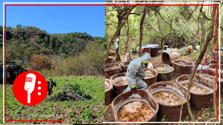 SEMAR erradica laboratorios clandestinos y 60 plantíos de amapola y marihuana, en Sonora y Michoacán