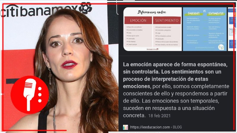 Laisha Wilkins, férrea opositora a la 4T, es descubierta plagiando en su más reciente columna