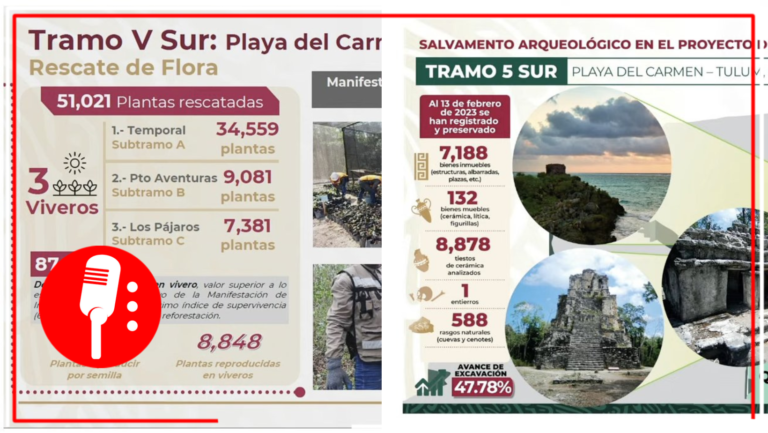 Se han recuperado más de 7 mil piezas y se han rescatado 2 mil 137 reptiles y mamíferos en el Tramo 5 Sur del Tren Maya