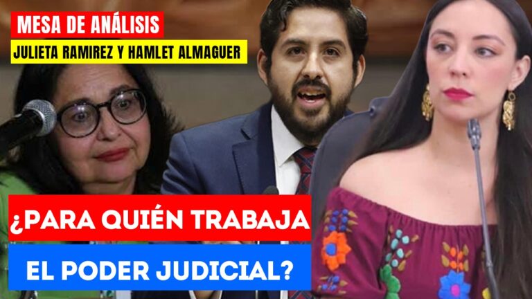 #Entrevista | “Hay un proyecto opuesto al nuestro”: Diputados de Morena analizan Plan B de la Reforma Electoral (VIDEO)