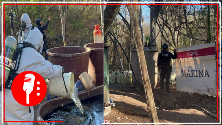 Semar localiza y desmantela ocho laboratorios clandestinos, en Sinaloa