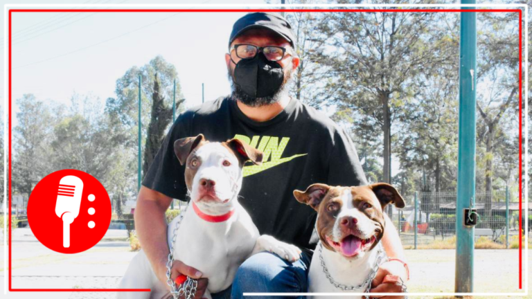 Tláhuac pone en marcha &#8220;Campaña gratuita de esterilización canina y felina&#8221;