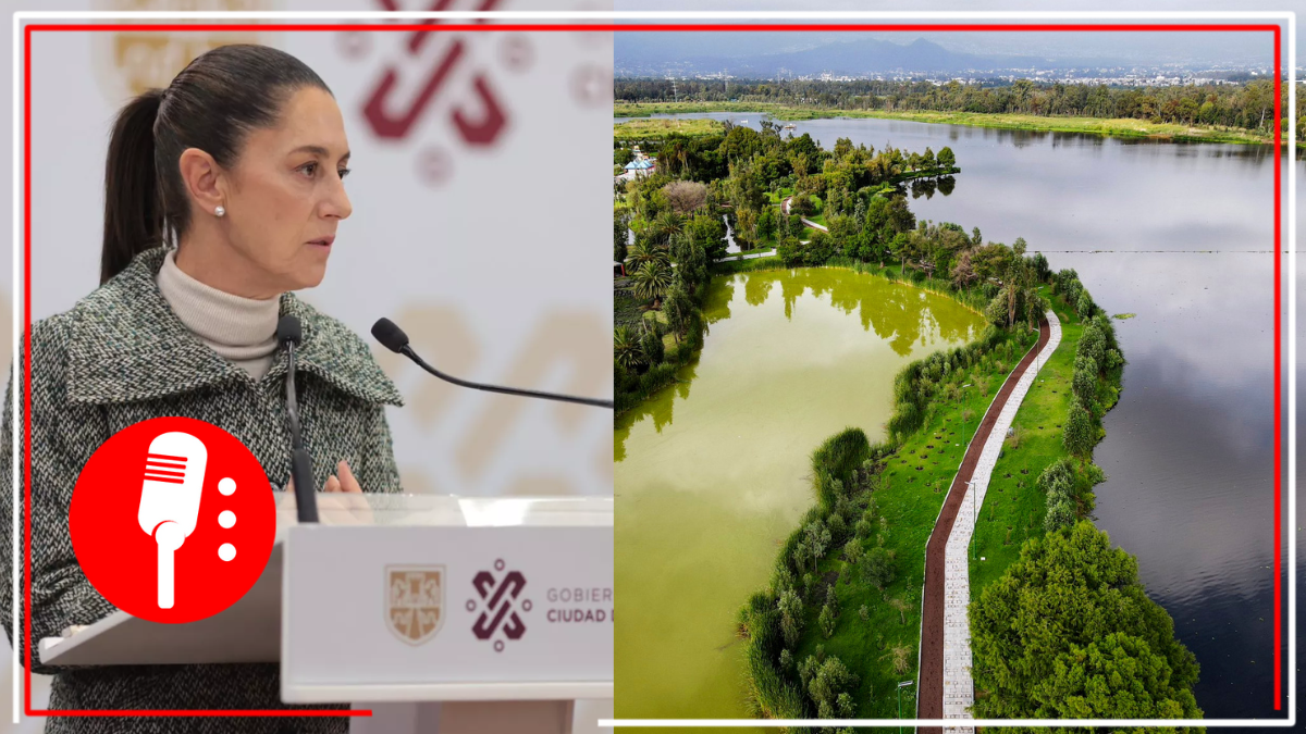 CDMX busca recuperar biodiversidad