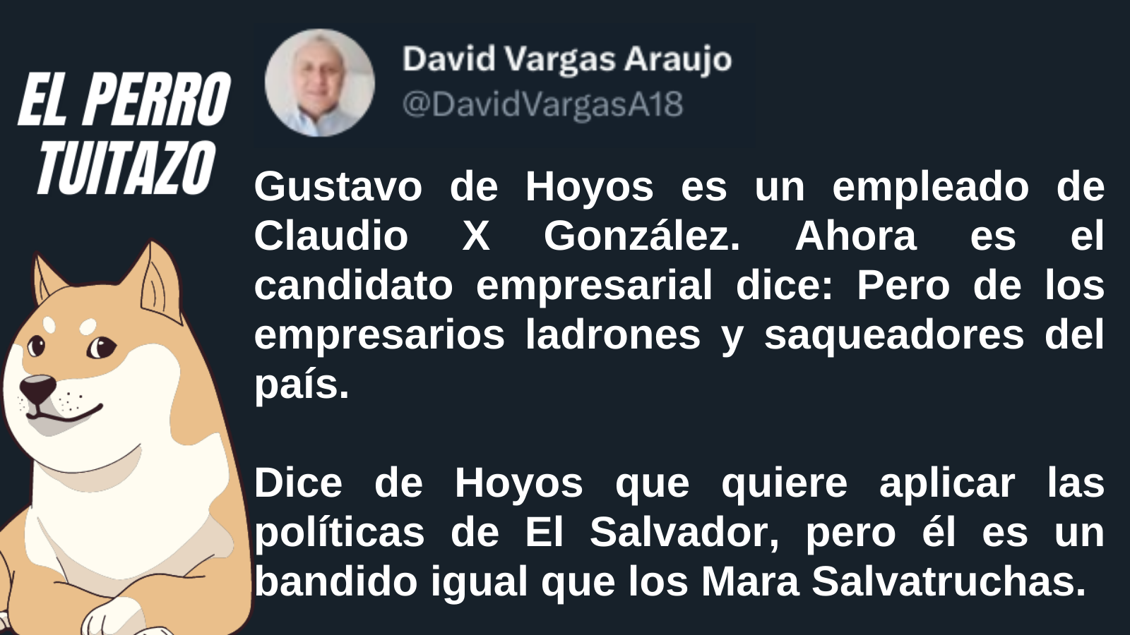 El Perro Tuitazo: De Hoyos, empresario ladrón y saqueador