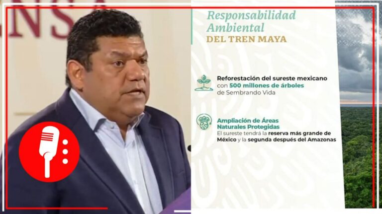 El Tren Maya ve por el medio ambiente: con el megaproyecto, se reforestará y se ampliarán Áreas Naturales Protegidas