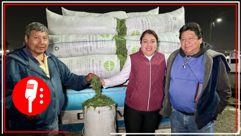 Tláhuac, principal productor de romeritos, arranca comercialización para Semana Santa