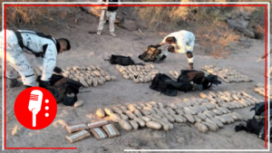 Desde 2015, la Sedena ha incautado más de 20 millones de pastillas de fentanilo