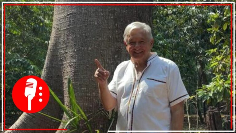 &#8220;Todos tenemos derecho a estar informados&#8221;: AMLO confirma que las mañaneras continuarán