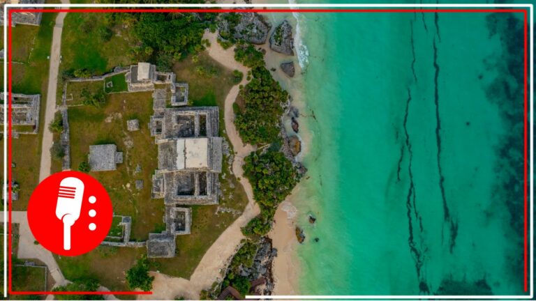 Anuncia Román Meyer creación de nuevo sitio web para conocer más sobre el Parque El Jaguar, en Tulum