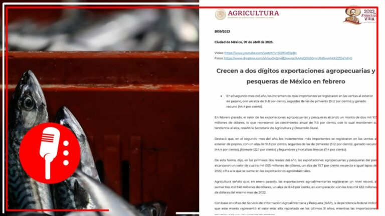 Aumentan exportaciones agropecuarias y pesqueras de México en febrero
