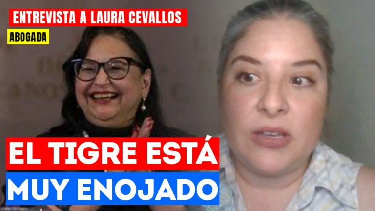 #Entrevista | Lo que hicieron los ministros con el PLAN B fue aberrante: Laura Cevallos