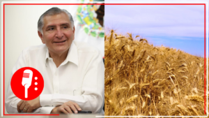 Adán Augusto se reúne con los productores de trigo del Valle de Mexicali para dialogar y escuchar sus demandas