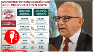 Se recuperan 53 mil 034 bienes inmuebles en salvamento arqueológico: INAH