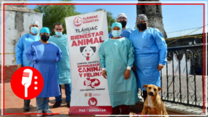 Por el bienestar animal, alistan primer Expo Pet Friendly Tláhuac 2023