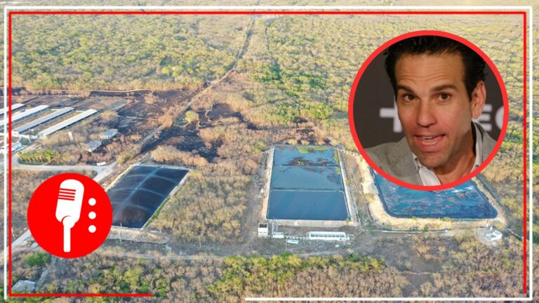 Empresa de la familia de Carlos Loret de Mola causa desastre ambiental en Yucatán