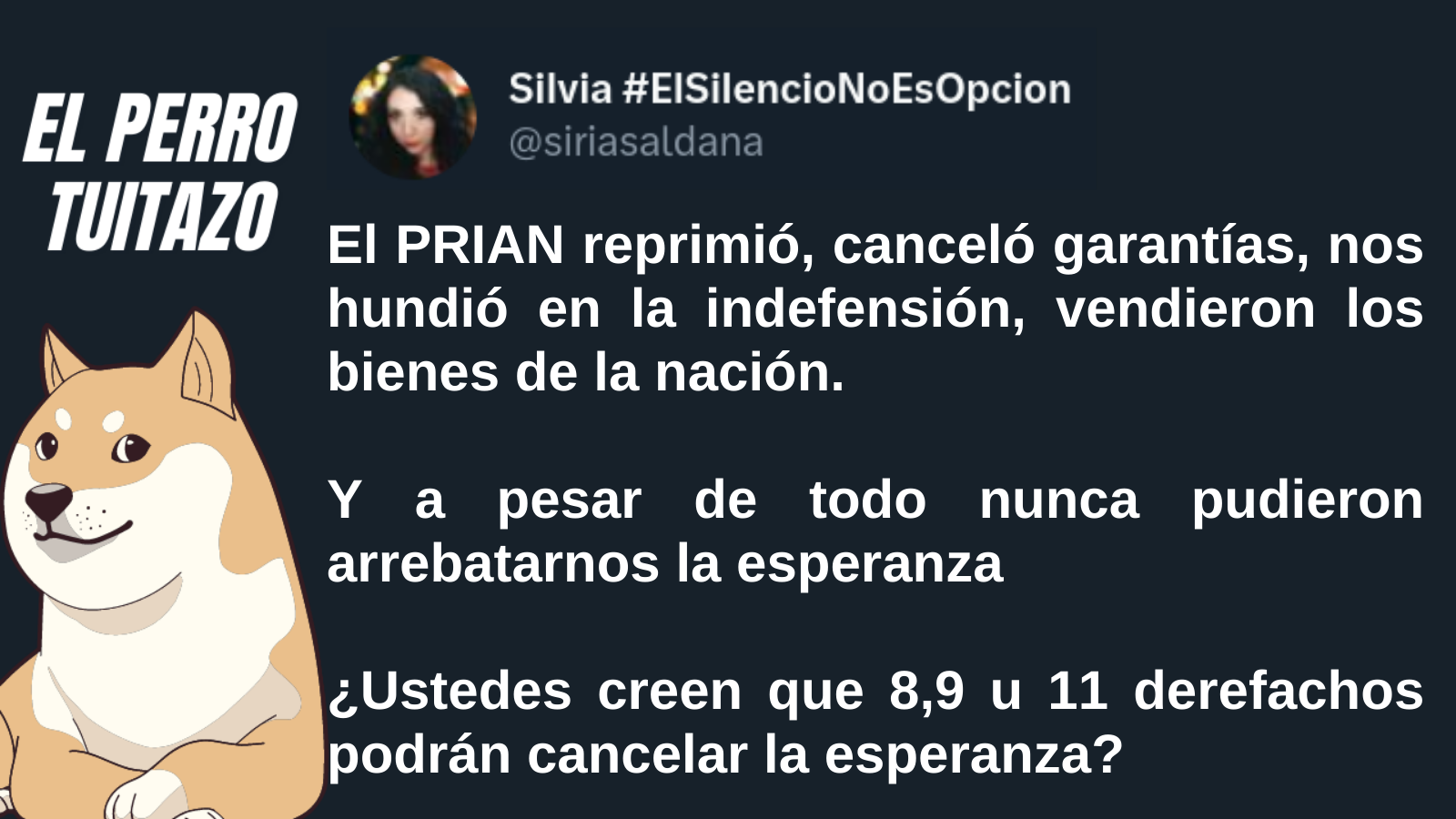 El Perro Tuitazo: Ministros del la SCJN no terminarán con la esperanza del pueblo