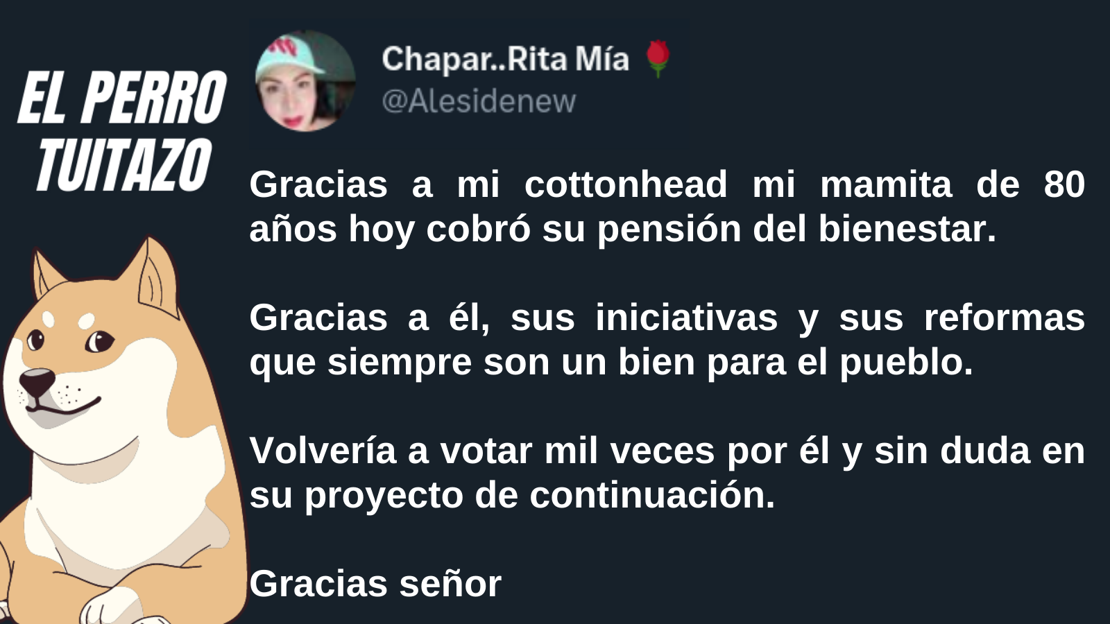 El Perro Tuitazo: Reformas de AMLO, siempre en pro del pueblo