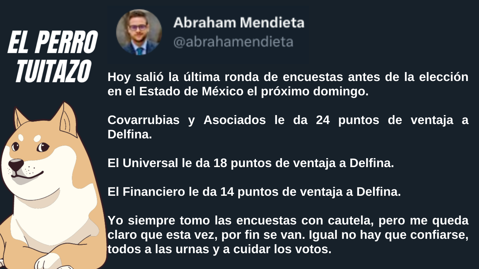 El Perro Tuitazo: A cuidar los votos del Edomex
