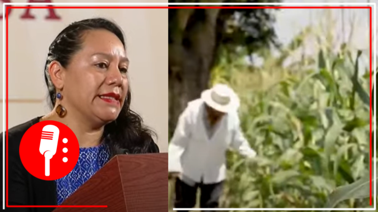 López Obrador será el presidente que más decrete áreas naturales protegidas: Semarnat (VIDEO)