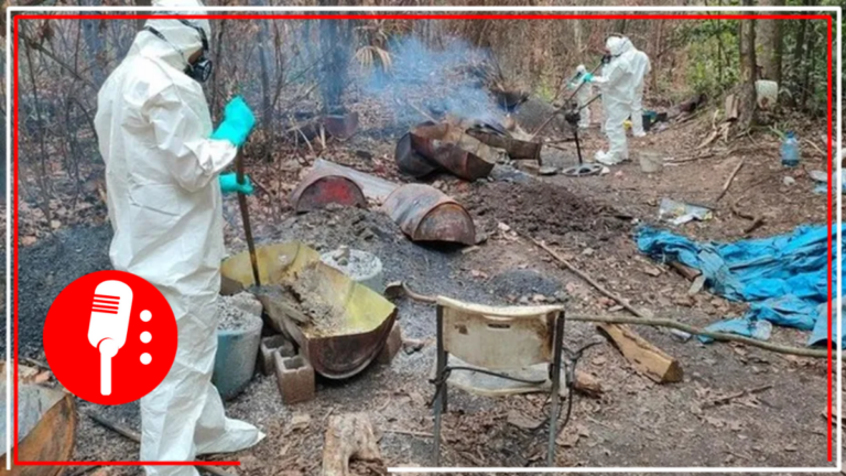 Aseguran narcolaboratorio en selva maya de Quintana Roo