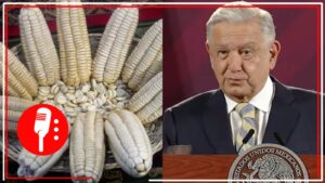 Preocupado por la salud del pueblo y el bienestar de productores, AMLO anunció acuerdo para que solo se use maíz blanco nacional en tortillerías (VIDEO)