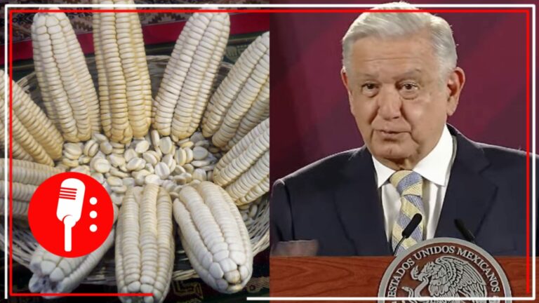 Preocupado por la salud del pueblo y el bienestar de productores, AMLO anunció acuerdo para que solo se use maíz blanco nacional en tortillerías (VIDEO)