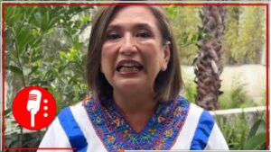 Sale a la luz la información de las empresas de Xóchitl Gálvez, han recibido contratos millonarios en los últimos 23 años