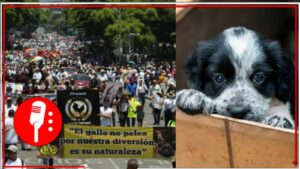 Se realiza marcha por veterinarios y criadores en contra de la Ley de Protección de Animales en la CDMX (VIDEO)