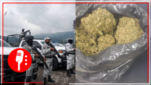 Elementos de seguridad aseguran droga, armamento, vehículos y 15 inmuebles en Guanajuato