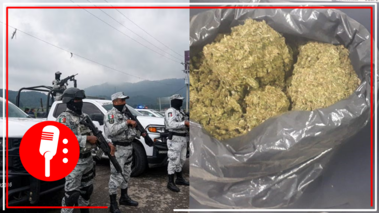 Elementos de seguridad aseguran droga, armamento, vehículos y 15 inmuebles en Guanajuato