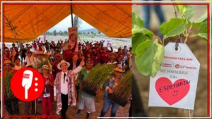 Se conmemora el &#8220;Día del Árbol&#8221; en la alcaldía Tláhuac en donde se plantaron 3500 árboles (FOTOS)