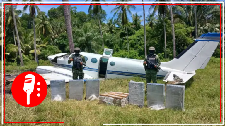Guardia Nacional, Ejército y Fuerza Aérea aseguran aeronave y más de 460 kg de posible cocaína en Chiapas