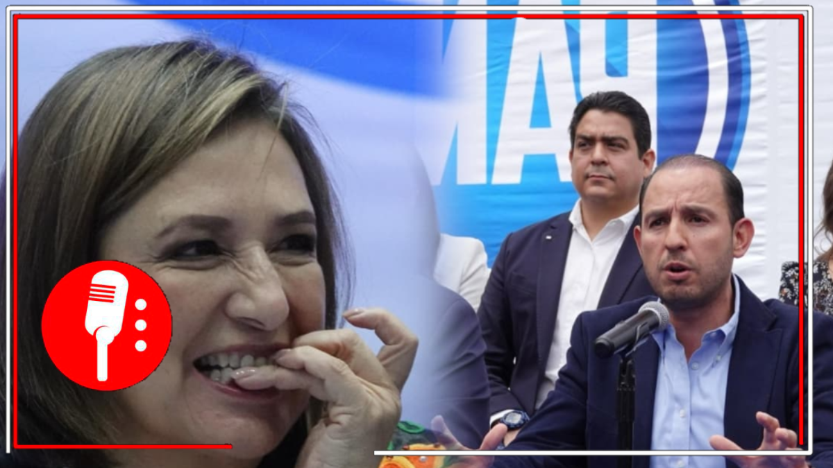 Ante negativa de Dante Delgado, Marko Cortés asegura que su partido buscará a militantes de MC que quieran sumarse al frente conservador