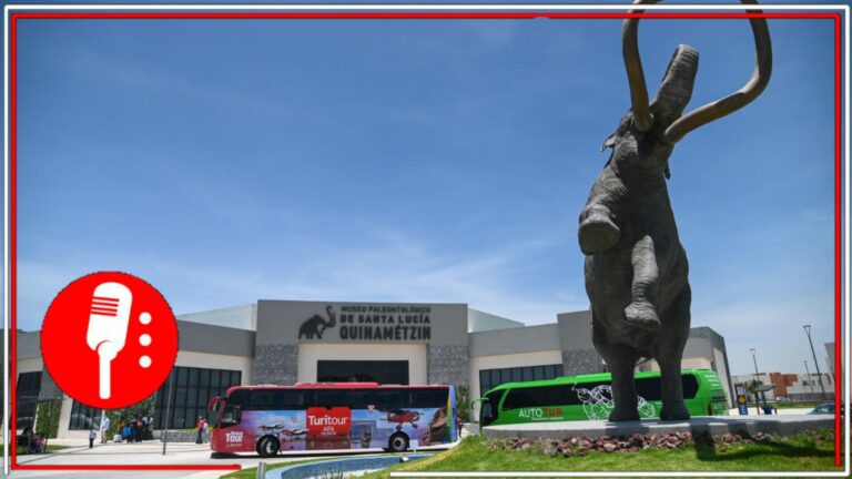 ¿Sin planes para este fin de semana?: Autobús turístico ofrece viajes guiados al AIFA y a varios museos aledaños