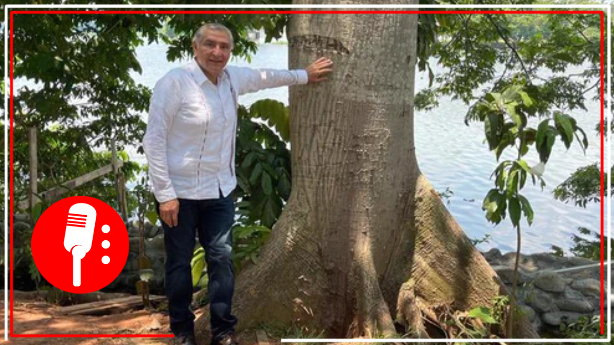 Adán Augusto reflexiona en redes sociales sobre la fuerza y resistencia de la ceiba