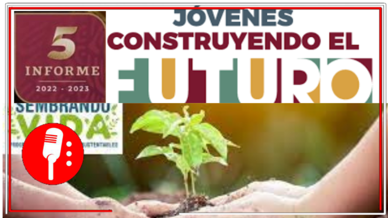 México respalda a otros países: Sembrando Vida y Jóvenes Construyendo el Futuro crecen en El Salvador y Honduras