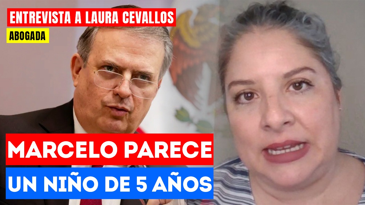 #Entrevista | Marcelo parece un niño de 5 años: La abogada Laura Cevallos señaló que Ebrard demuestra su inmadurez política al aferrarse a algo que solo él vio