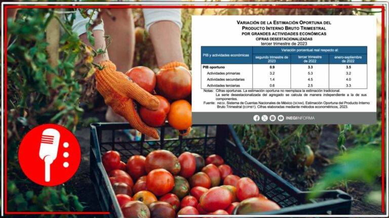 El PIB ha aumentado en un 0.91 por ciento con respecto al trimestre anterior, lo que implica un crecimiento económico (FOTOS)