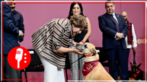 Delfina Gómez se preocupa por los animales en situación de calle; lanza programa de rescate de perros y gatos callejeros en Edomex