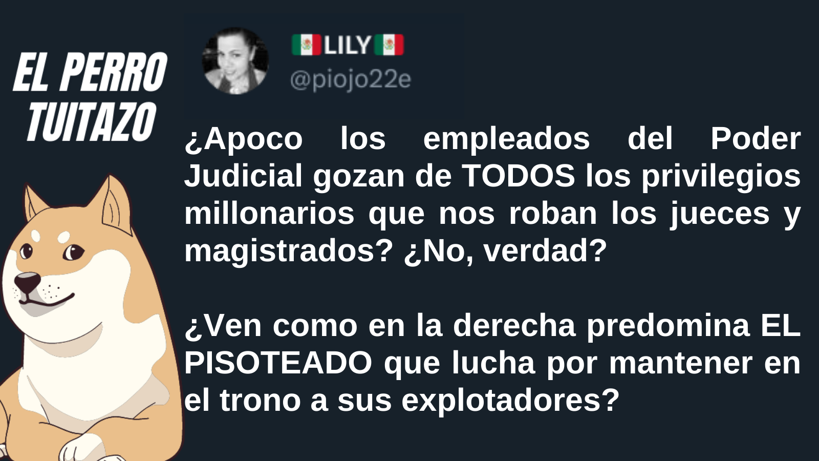 El Perro Tuitazo: Trabajadores del PJF salen a defender a sus jefes