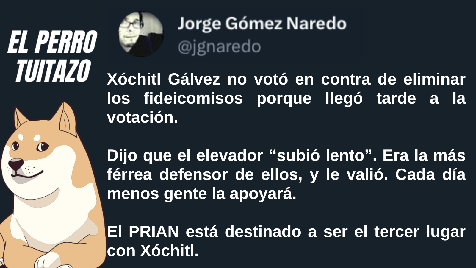 EL Perro Tuitazo: Xóchitl no llega a la votación