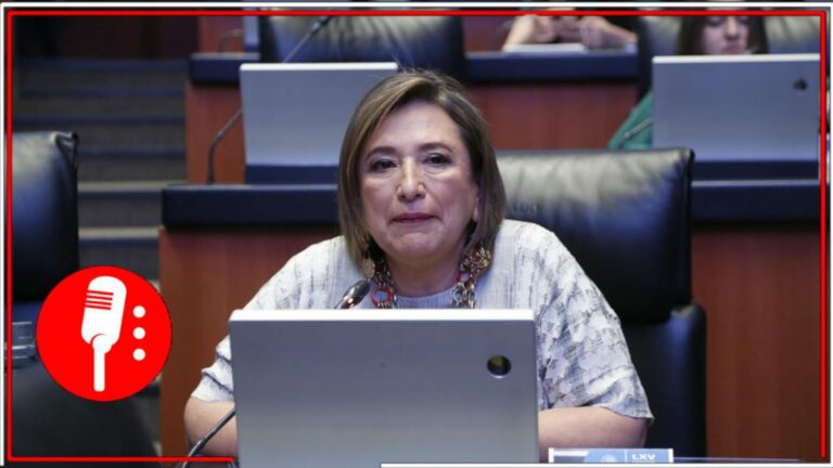 Todo lo que hace es una farsa: Emeequis descubre que Xóchitl Gálvez plagió por lo menos tres de sus propuestas presentadas en el Senado