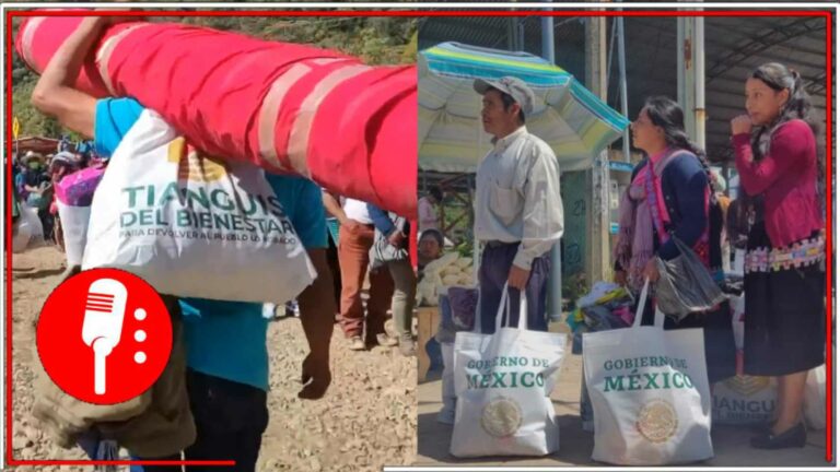 El Tianguis del Bienestar ha beneficiado a más de 41 mil familias de la Huasteca Potosina (VIDEO)