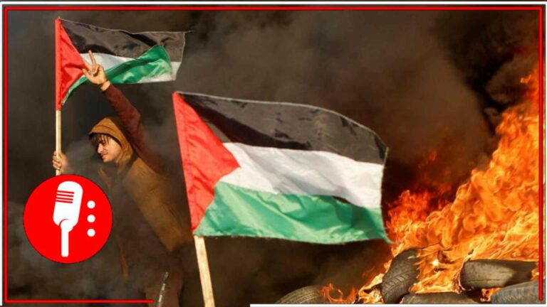 La tregua humanitaria en la Franja de Gaza, se ha extendido 48 horas más (FOTOS)