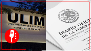AMLO publica en DOF decreto de creación de la Universidad de las Lenguas Indígenas de México