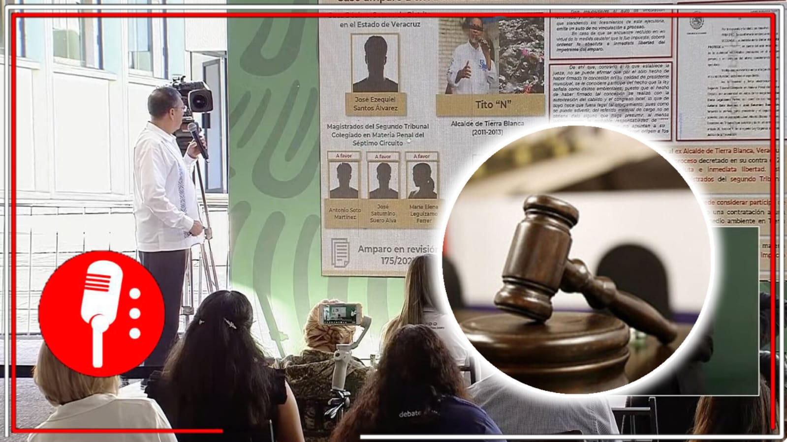 Criminales ambientales, responsables de la “verdad histórica” y defensores de los fideicomisos: así es como jueces han favorecido recientemente a delincuentes (VIDEO)