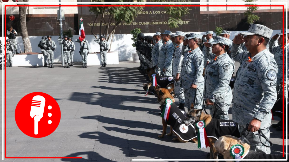 Con ceremonia de jubilación, la Guardia Nacional se despide de 34 perros que culminaron su periodo de servicio